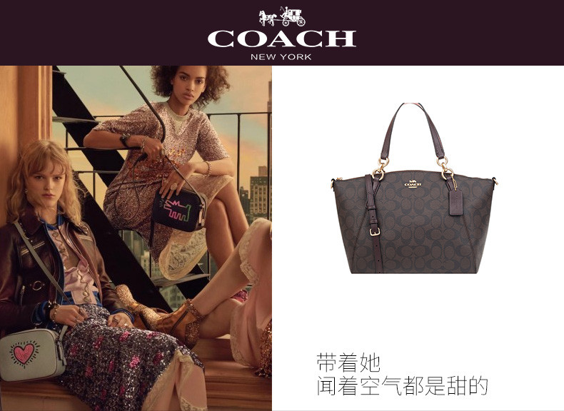 coach女包单肩包蔻驰手提包斜挎包饺子包女士 经典款c纹 pvc