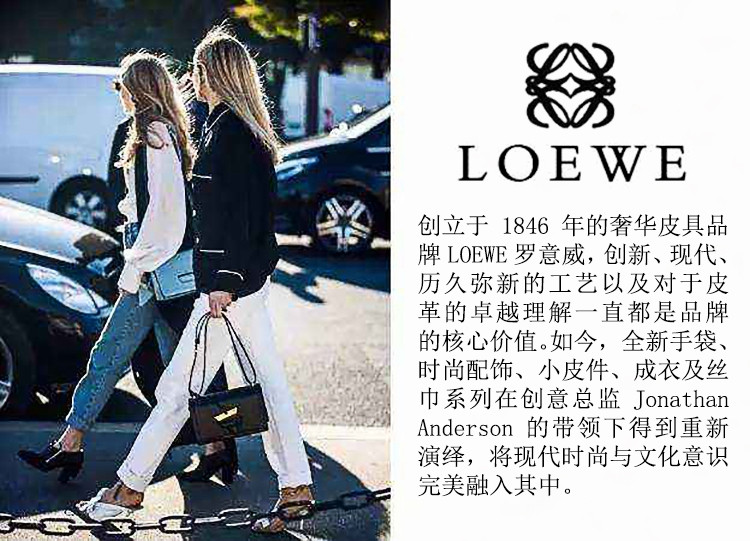 loewe/罗意威女士彩色人像图案牛皮手拿包11671ak05其他均码其他均码