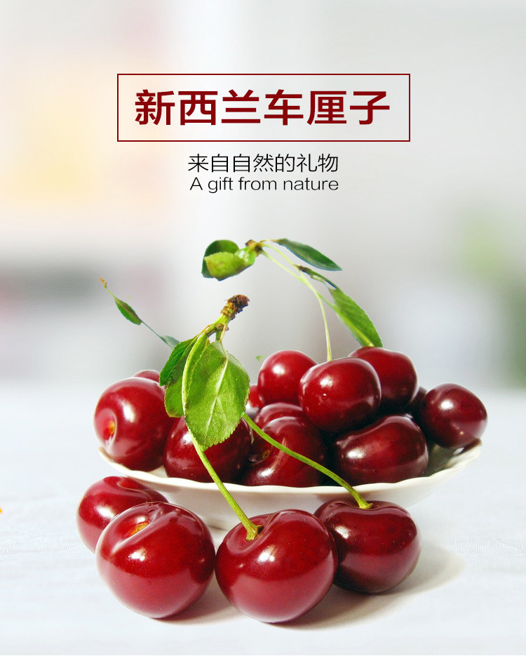 【预售】新西兰进口countdown果园联盟cherry corp车厘子1kg(果径32