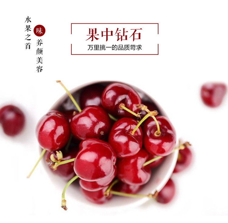 【预售】新西兰进口countdown果园联盟cherry corp车厘子1kg((果径30