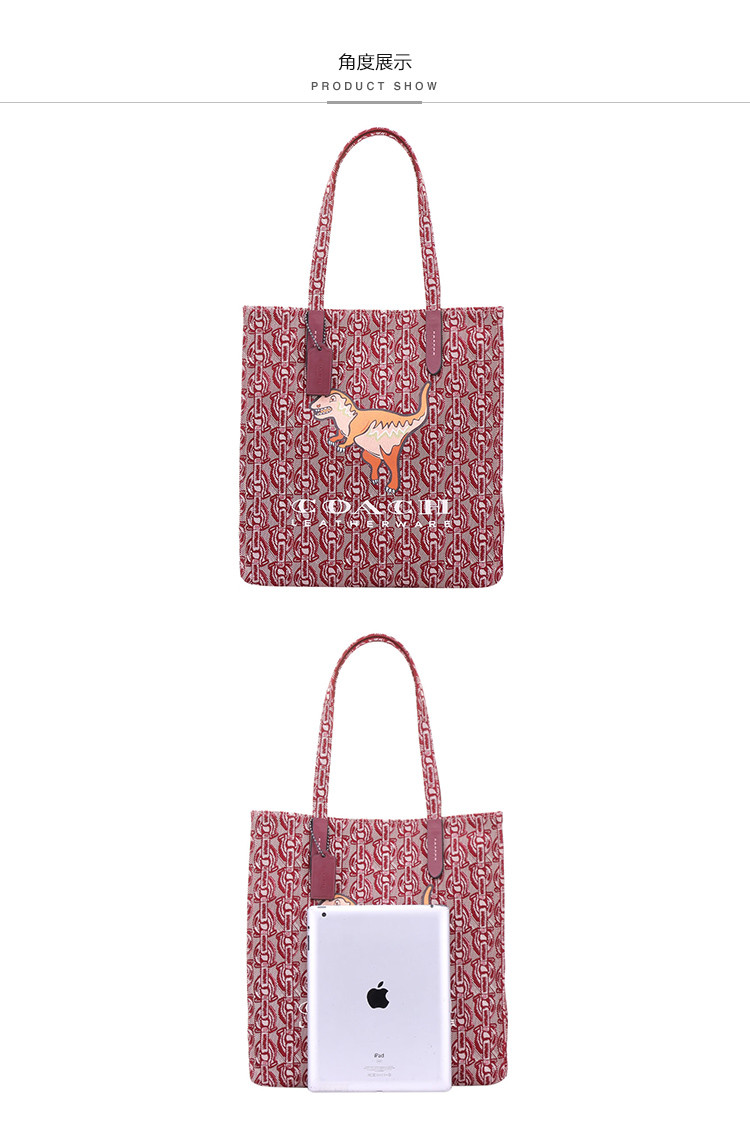 coach/蔻驰 女士恐龙印花单肩包 帆布几何图案手提包 25736