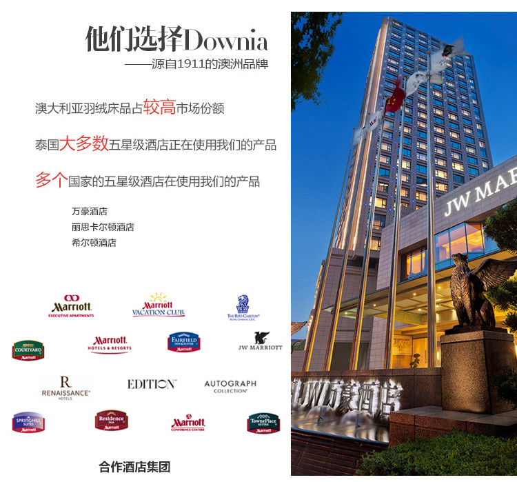 downia 床上用品 床垫/床褥 可水洗仿羽棉四季床笠款保护垫 五星级