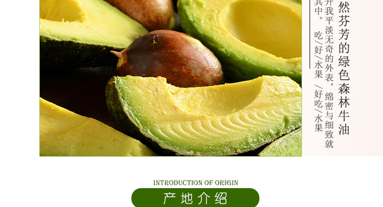 墨西哥进口牛油果6个(单果180-230g) 森林奶酪 软糯香滑