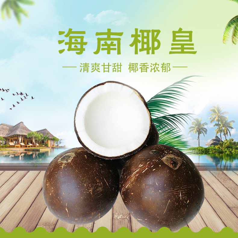【2粒装】海南椰皇 单果1.5-2斤 送开孔钉