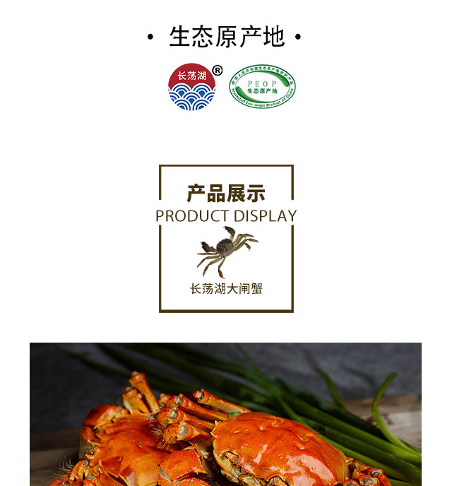【预售三天内发货】长荡湖大闸蟹8只 多规格