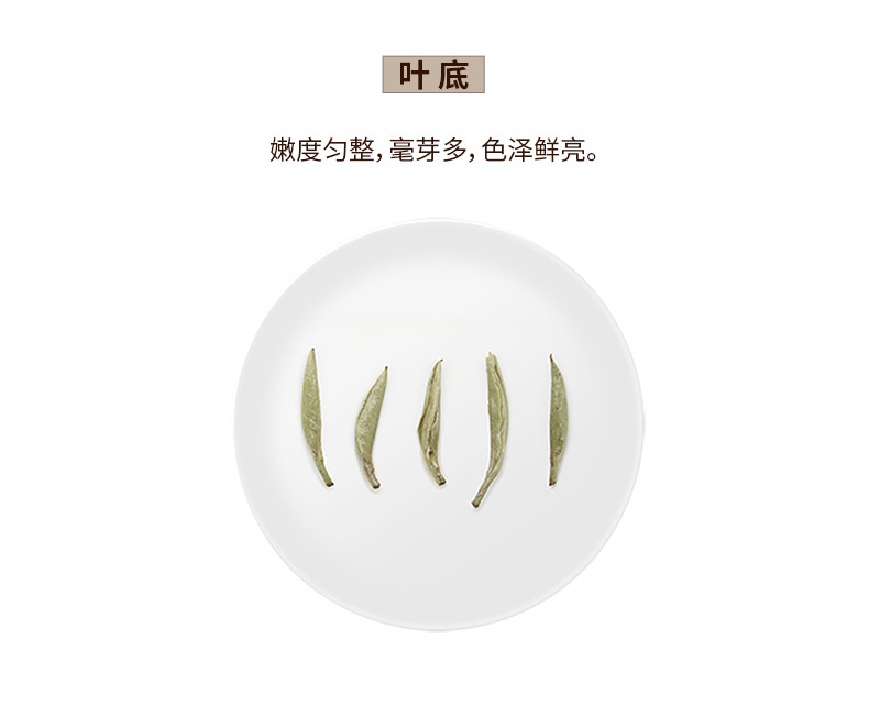 小罐茶 金罐白毫银针10罐装礼盒4g*10罐