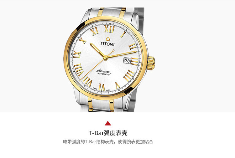 titoni/÷ֱ հϵԶеִб ʯ 83733 sy-1