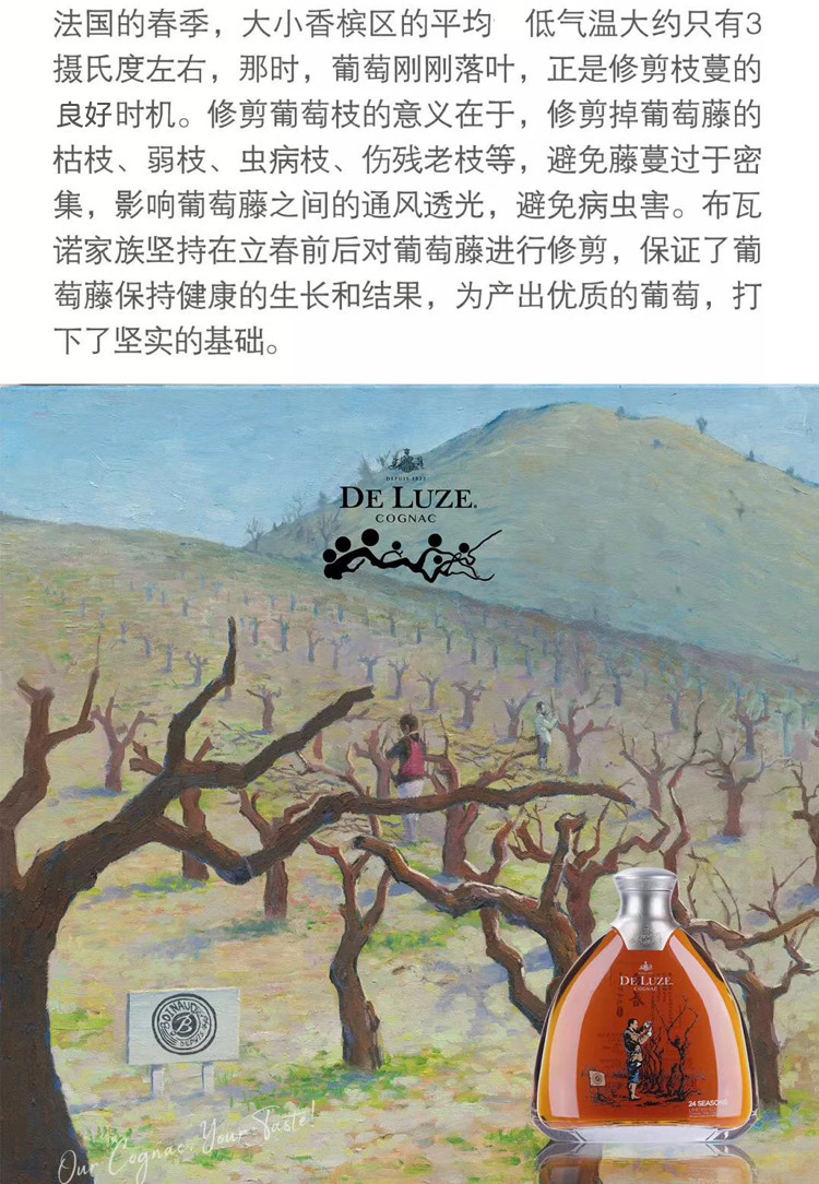 【deluze蒂乐仕 白兰地】蒂乐仕 立春 限量版 xo 香槟干邑白兰地