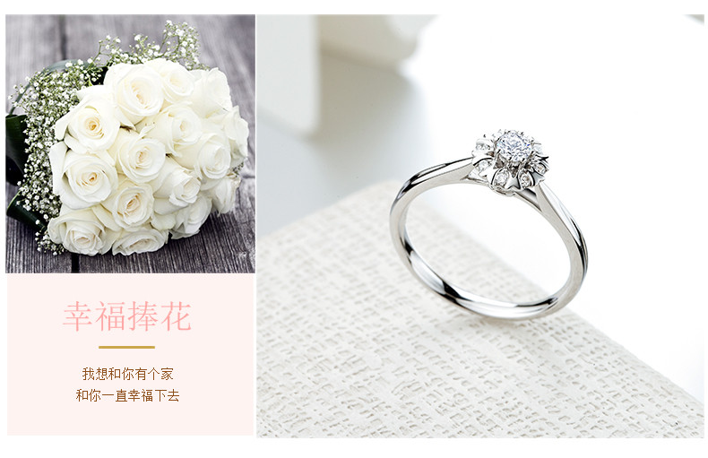dr darryring/dr戴瑞求婚钻戒结婚订婚钻石戒指专柜群镶捧花女