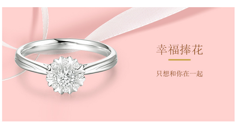 dr darryring/dr戴瑞求婚钻戒结婚订婚钻石戒指专柜群镶捧花女