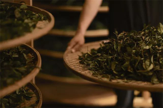很多时刻,我们与茶的相遇,都是经过一系列炒制,揉捻之后的,何不去茶叶