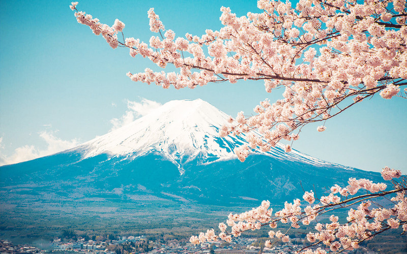 日本东京富士山樱花大赏4日游