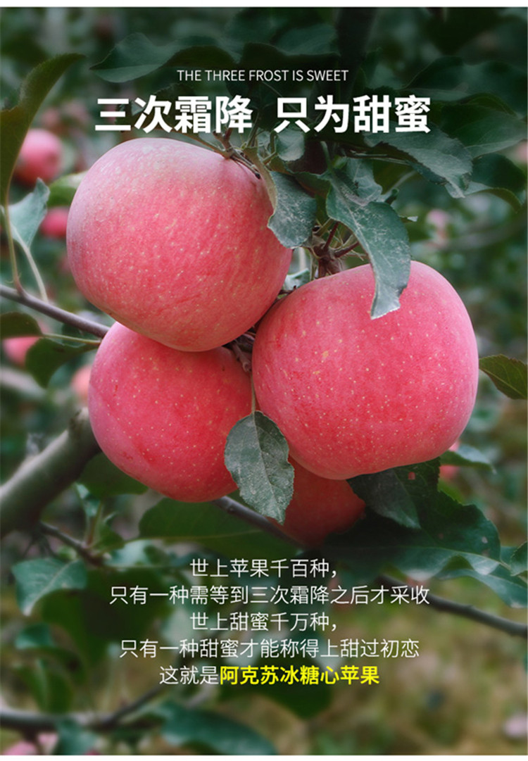 【secoo自营】新疆阿克苏冰糖心苹果(家庭装)