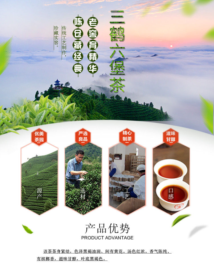 黑茶 六堡茶 中国供销合作社旗下 广西梧州茶厂 "窖藏" 五年陈六堡茶