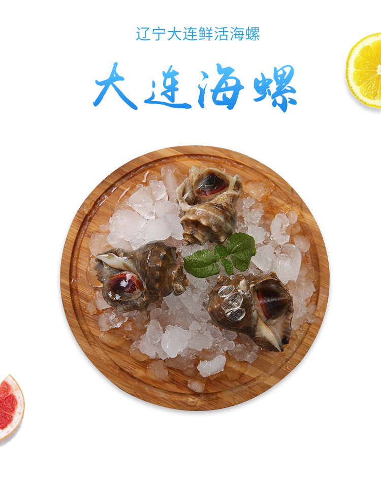 【活鲜】大连鲜活海螺 500g盒装 鲜活出库发货