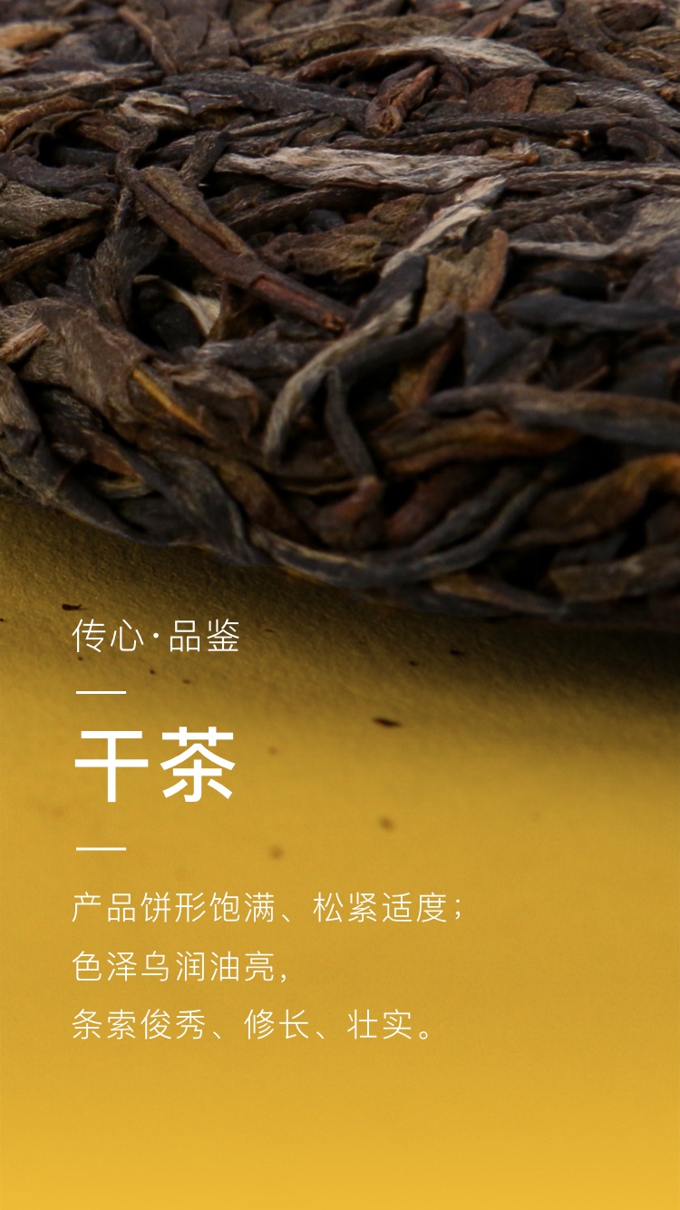 taetea/大益大益普洱茶生茶2019年传心青饼357g/饼(1901批)生茶云南