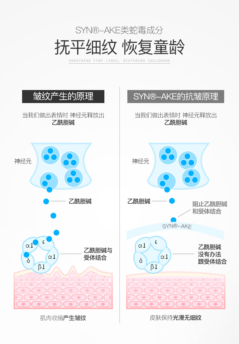 西班牙bm lab贝玫蒂 botox like syn-ake 类蛇毒肉毒素·抗皱紧致精华