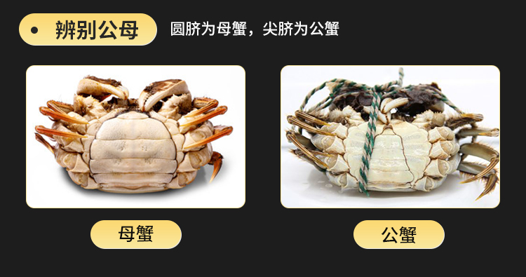 7-4.0两/只 母蟹2.7-3.0两/只 4对8只螃蟹 海鲜水产
