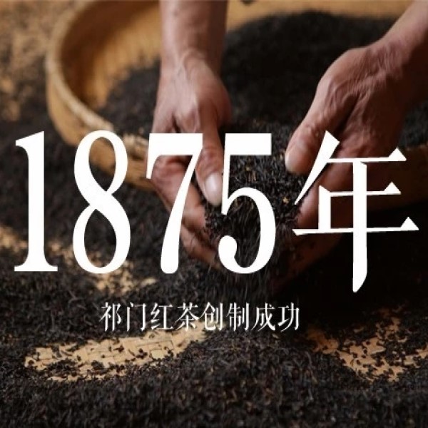 【xieyongzhong谢永中 茶叶】谢永中 祁门红茶【2016年份茶】祁门