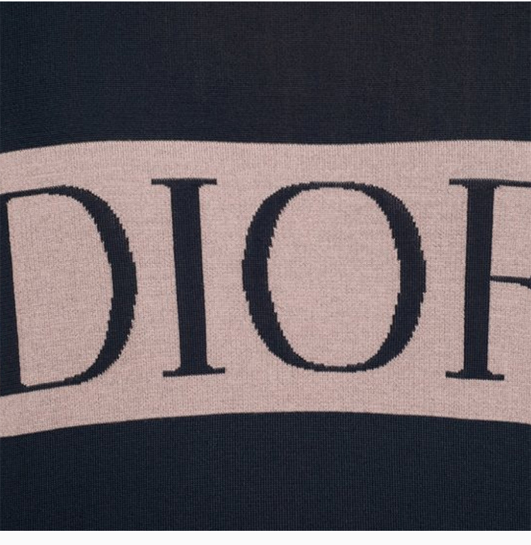 dior/迪奥 20春夏 男装 服装 蓝色羊绒logo印花条带半高领长袖 男士