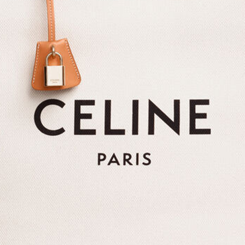 celine/赛琳 19秋冬 cabas celine 女士竖款celine印花手袋 19040