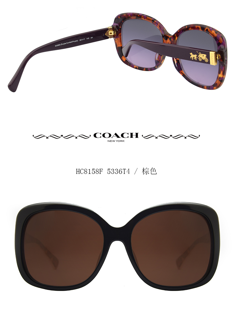 coach/蔻驰 时尚板材方形大框女士太阳镜 全框墨镜眼镜 hc8158f 58mm