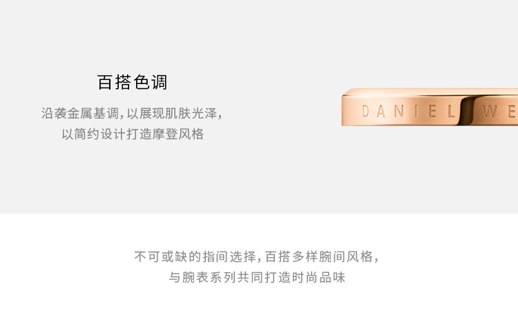 daniel wellington/丹尼尔惠灵顿 dw戒指 新品简约百搭戒指 玫瑰金