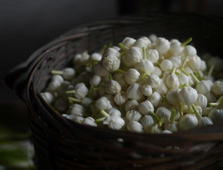 寺库名物x寺妙 六窨飘雪 限量版茉莉花茶礼