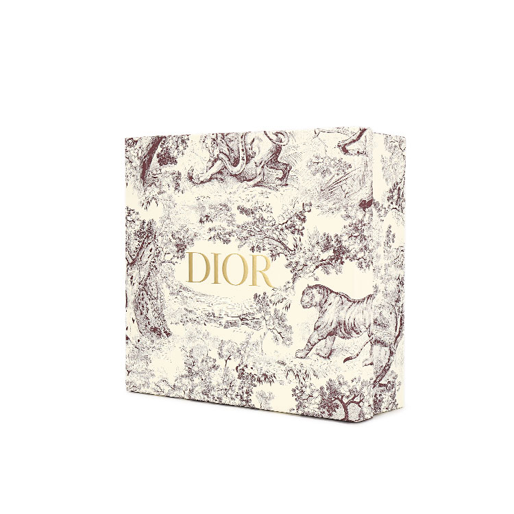 dior(迪奥) 红色logo帆布配皮单肩包/马鞍包
