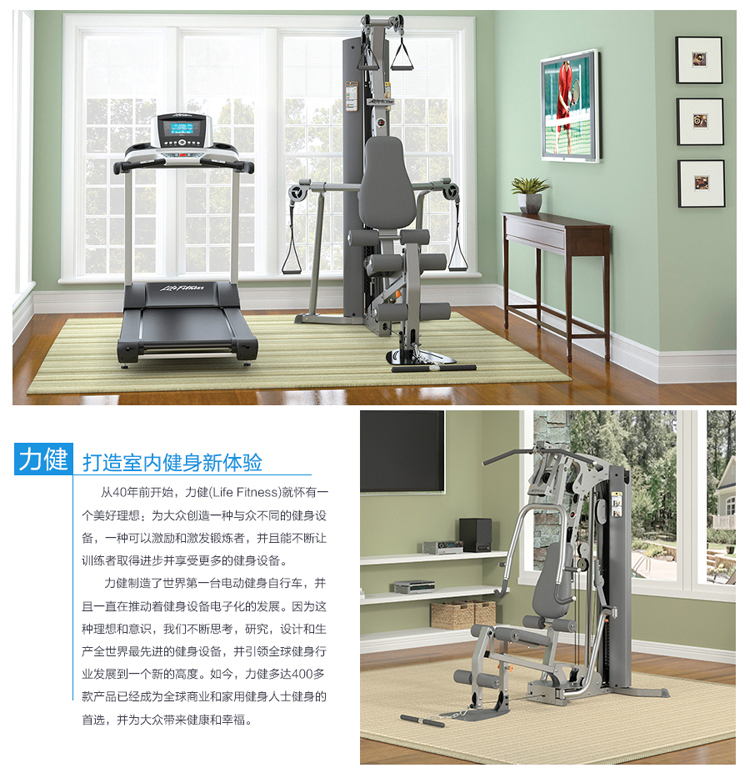 【LIFE FITNESS力健 健身器械】美国LifeFitness力健多功能综合训练器 单人肌肉力量组件健身器材家用设备G2标准组件【正品 ...