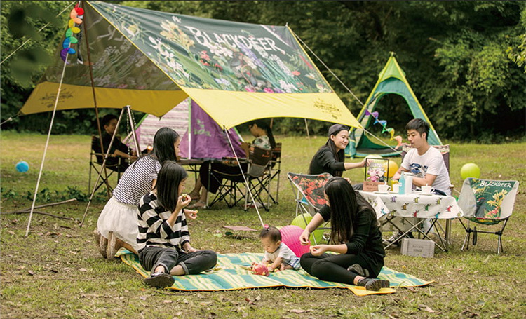 blackdeer/黑鹿 户外双人帐篷套装 自充气气垫 野餐垫 双人露营套装