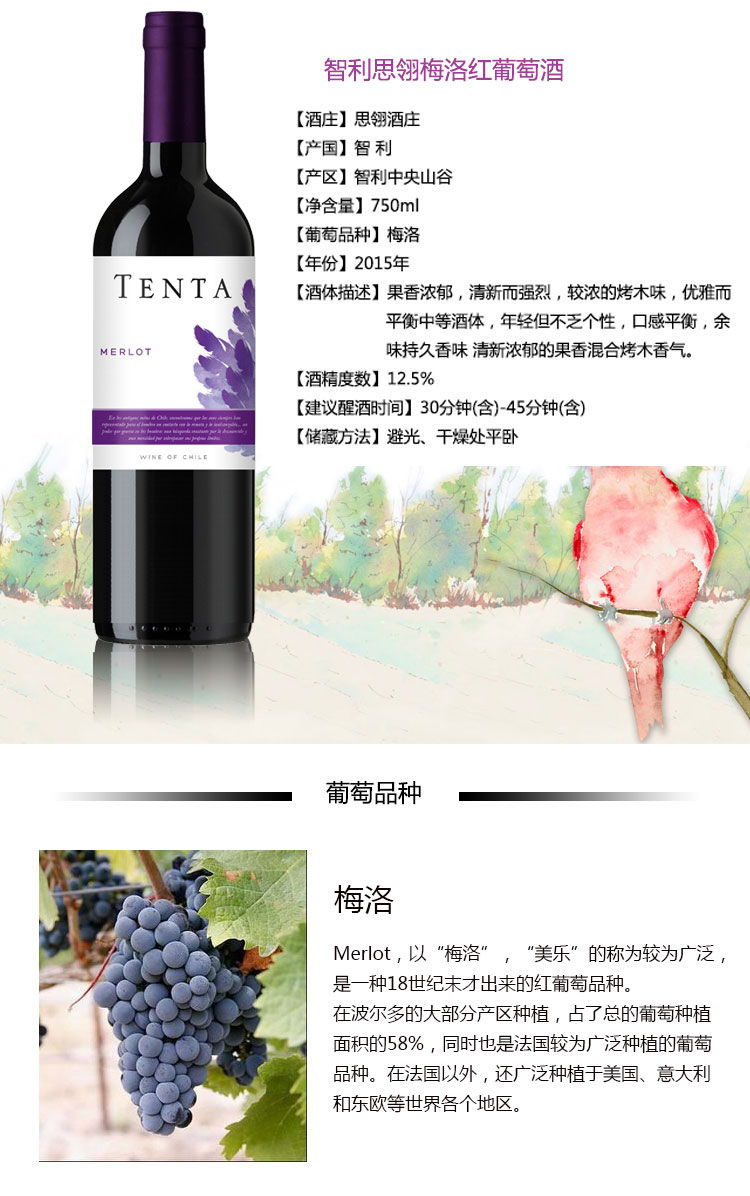 【tenta思翎酒庄 葡萄酒】【国庆特惠】智利思翔梅诺