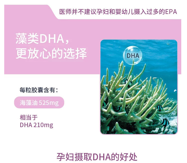 【包邮保税】bio island生物岛 孕妇dha海藻油脑黄金胶囊60粒*2瓶