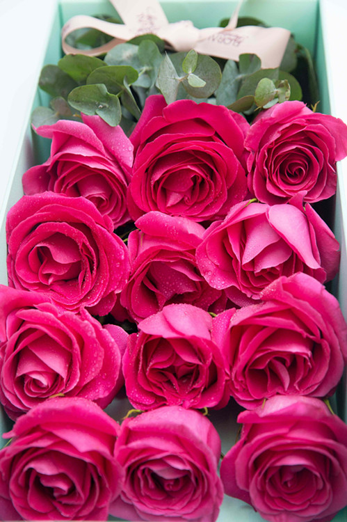 【可用券】超级玫瑰-毒药12枝