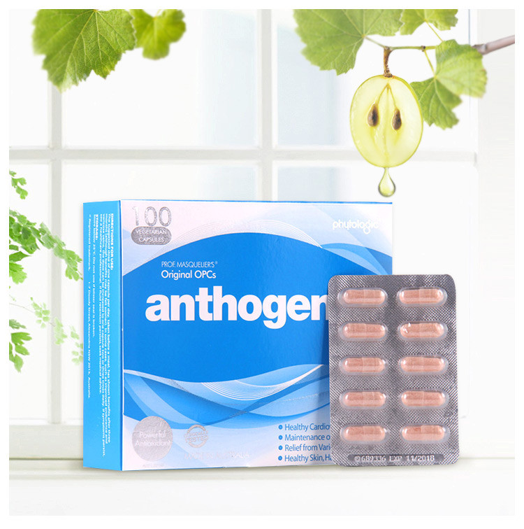 【免税】anthogenol月光宝盒 花青素葡萄籽精华100粒 美容养颜抗氧化