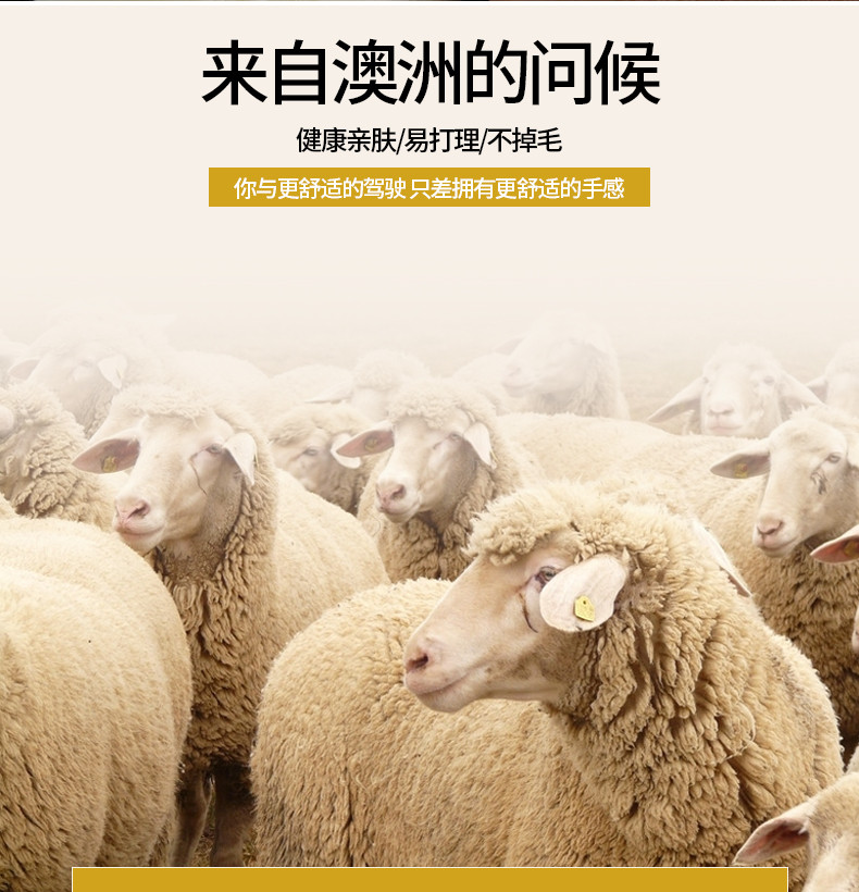 pinganzhe 新款澳洲进口羊毛方向盘套 长毛款汽车羊毛把套 汽车用品