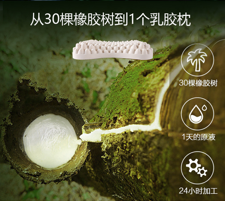堂皇进口乳胶枕原装进口成人记忆护颈颈椎枕芯橡胶枕