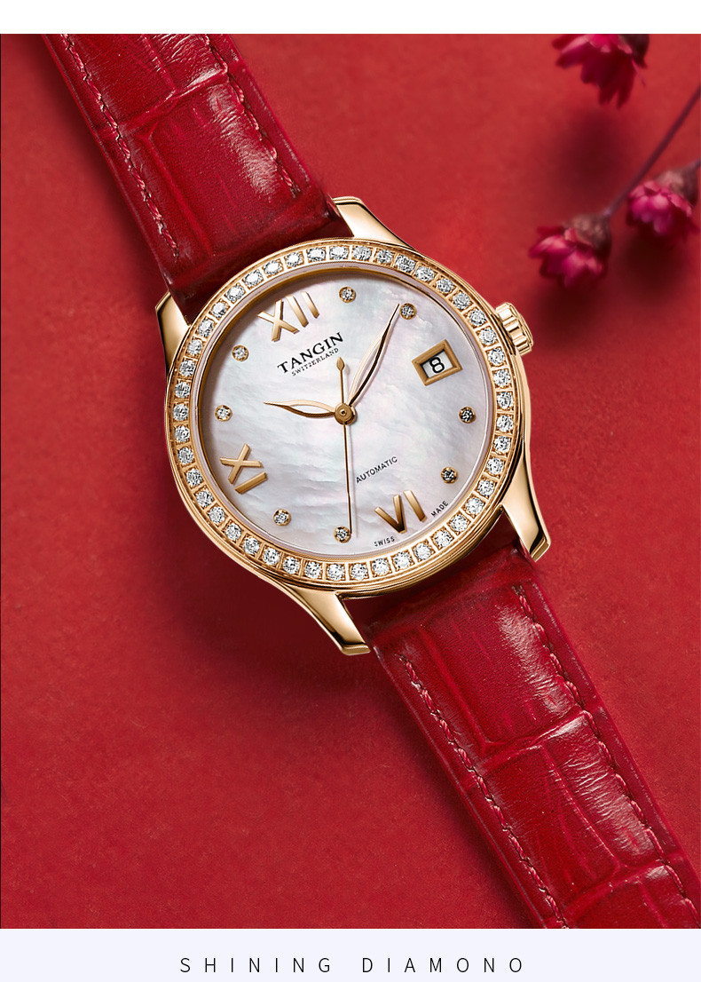 tangin/天珺慧心系列时尚名媛自动机械女表t7023lhsfsb