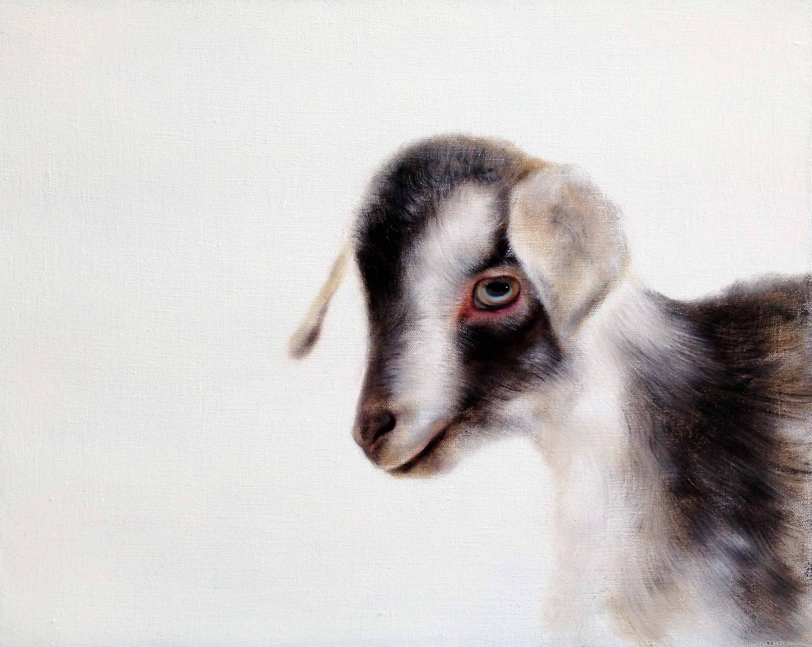 庹渊博《小羊no.5》40x50cm布面油画/50x40cm/油画