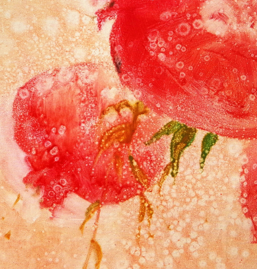 宋燕《石榴图》/50x60cm/油画