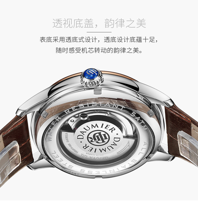 daumier/丹玛 瑞士 手表 吉萨尼 系列 自动机械 男腕表 dm8603 深灰面