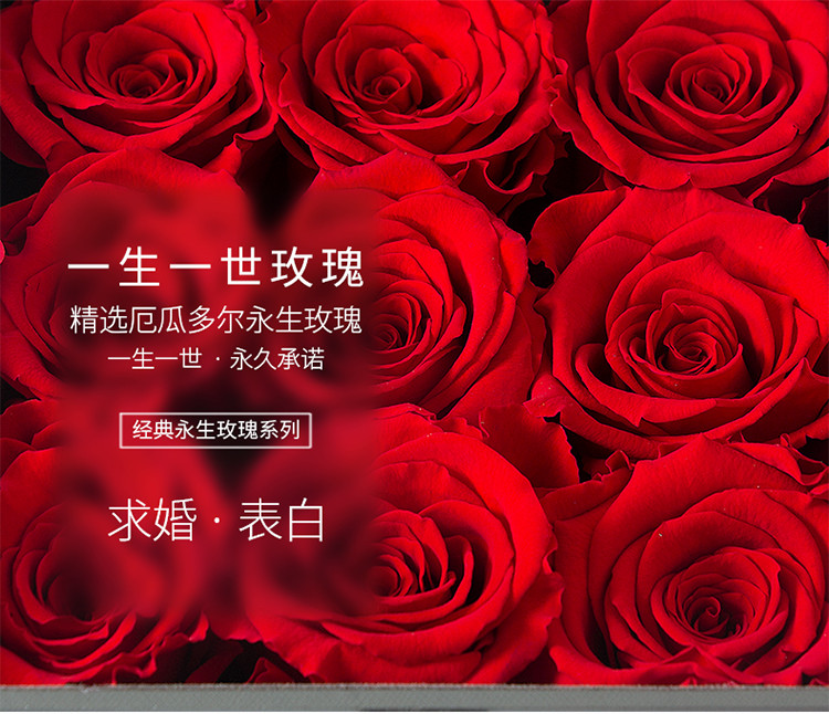 joyflower情人节进口永生花礼盒生日礼物一生一世玫瑰花