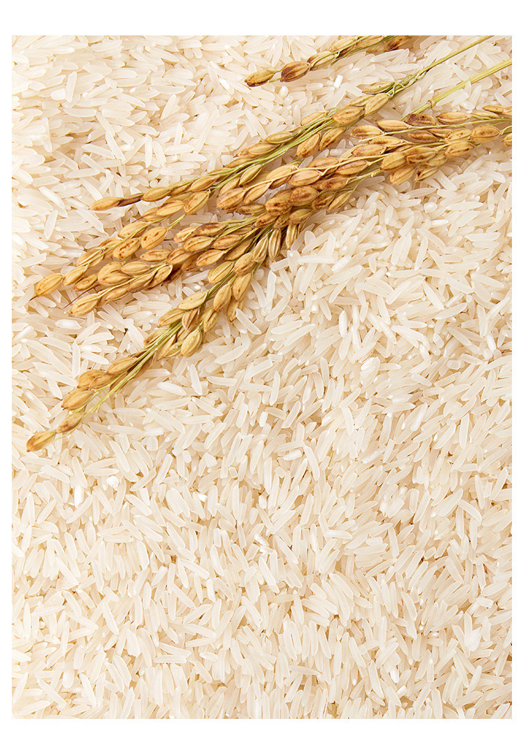 【secoo自营】宜春高山大米 1kg精装