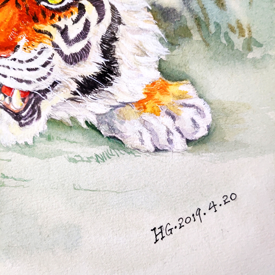 杨峰《心有猛虎 细嗅蔷薇》/38x52cm/水彩