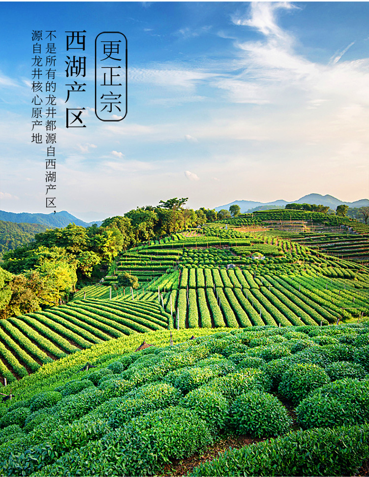 八马茶业 2020新茶春茶 西湖龙井绿茶明前龙井茶叶自饮罐装125克