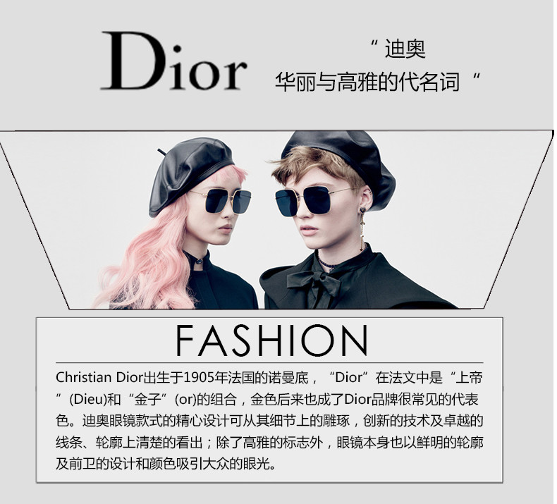 dior/迪奥 眼镜太阳镜 diorsoreal48/22 rmj/lh matt lt