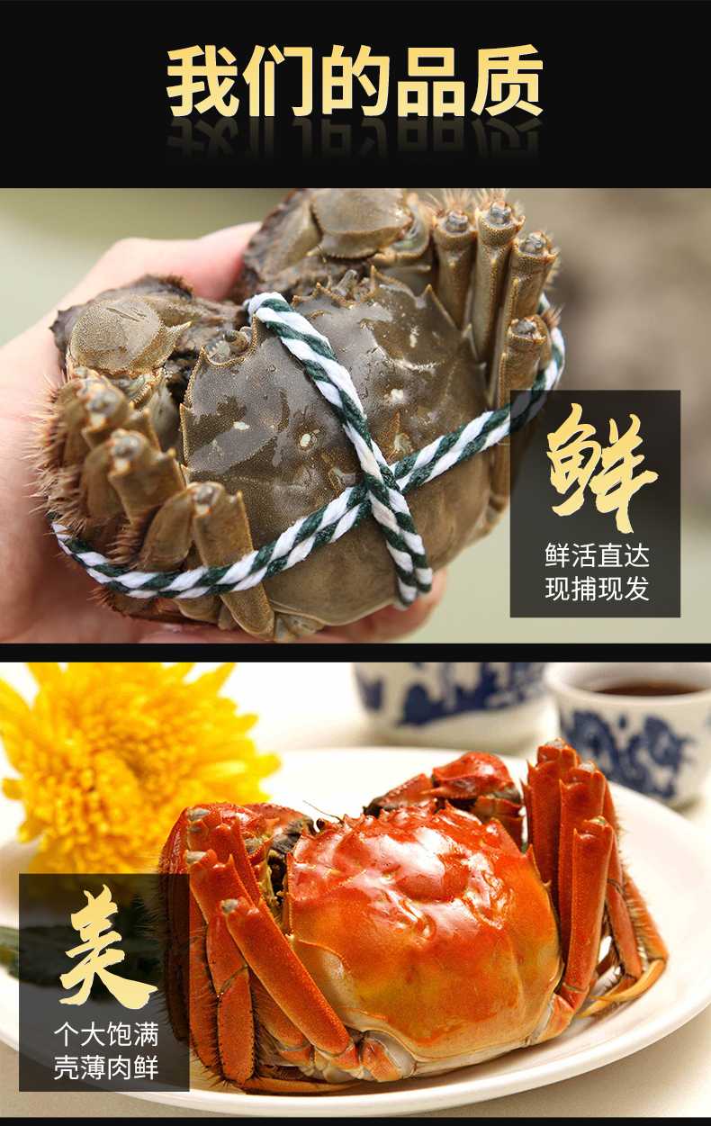 大闸蟹卡券