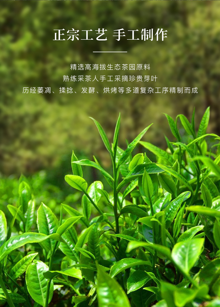 八马茶业 金索红360 云南滇红红茶茶叶 礼盒装192g