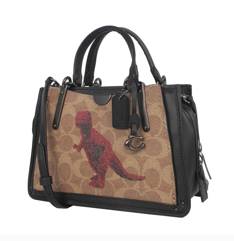 coach/蔻驰【19秋冬新款】专柜同款 女士时尚恐龙图案经典老花c纹涂层