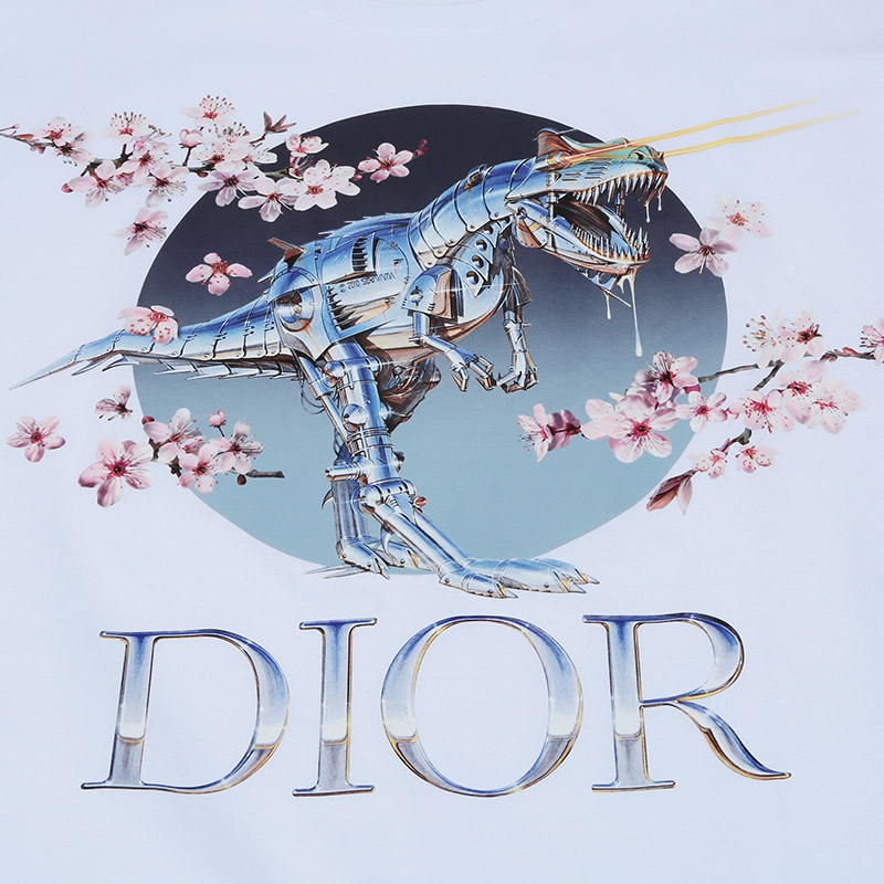 diorhomme/迪奥桀傲19秋冬男士棉质圆领短袖t恤933j602b0533085